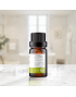 Organic Lime Essential oil